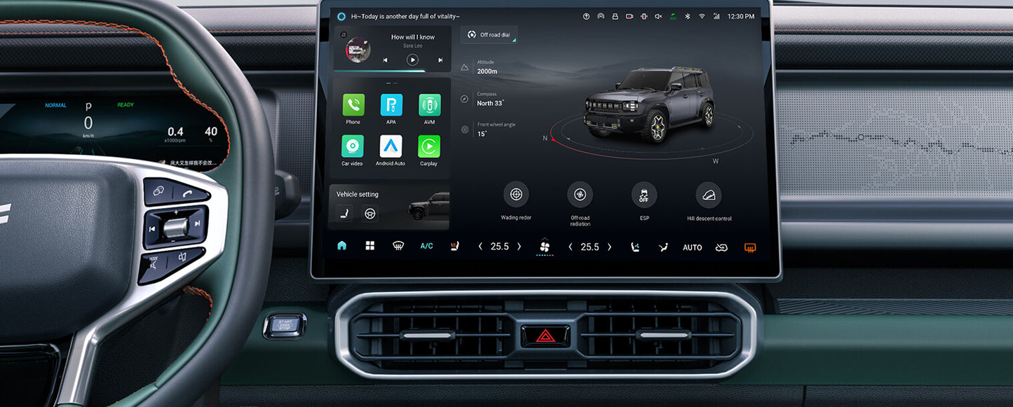 Jetour Shanhai T2 · 2024 C-DM 206KM 4WD Wilderness Edition (New cars imported from China)