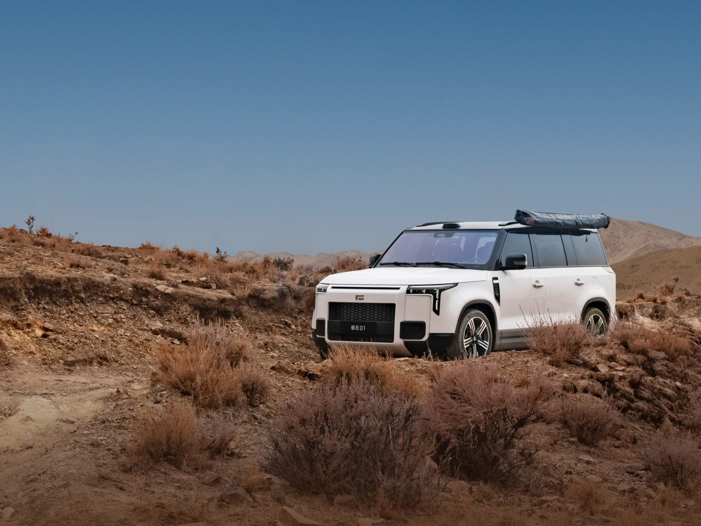 ROX 01 All-Terrain 7-Seater Long Range Edition(New cars imported from China)