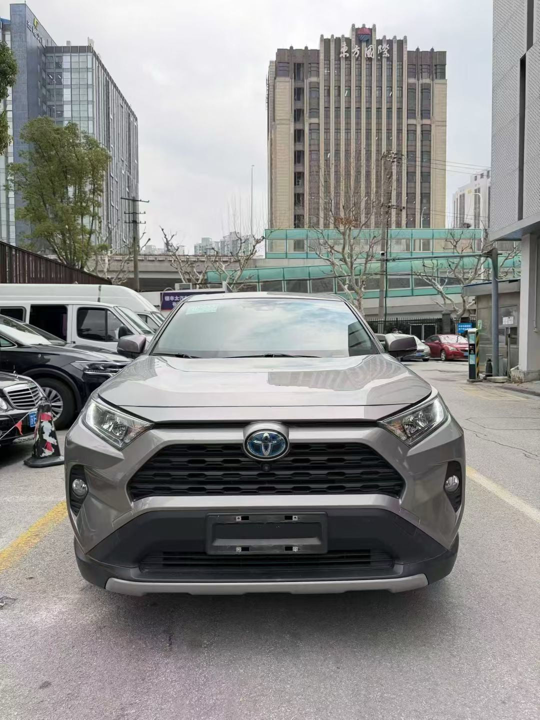 丰田2021款RAV4荣放新能源 2.5L 两驱进阶版