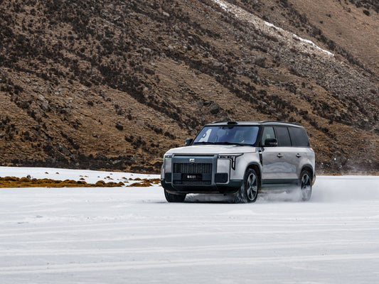 ROX 01 All-Terrain: The Ultimate 7 Seater Electric SUV