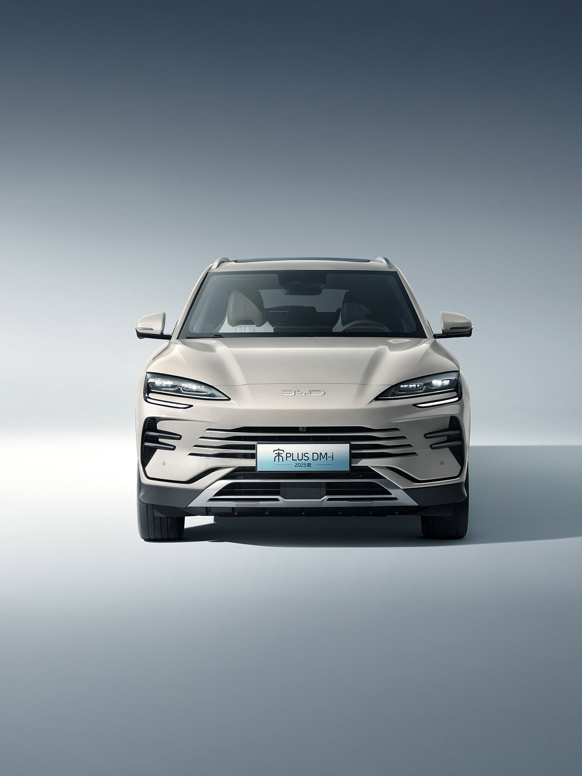 BYD Song PLUS DM 2025 Intelligent Driving Edition DM-i 112KM Prestige Edition
