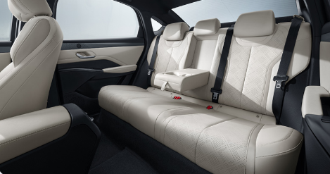 BYD Qin Plus DM-i Intelligent Driving Edition 120KM exceed Model