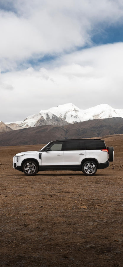 ROX 01 All-Terrain 7-Seater Long Range Edition（New cars imported from China）