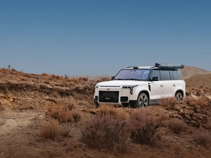 ROX 01 All-Terrain 7-Seater Long Range Edition（New cars imported from China）
