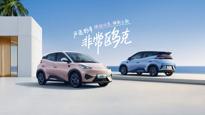 BYD Seagull