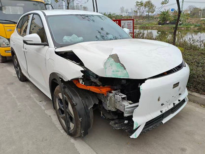 Geely银河 Geely Galaxy 2024 E5 530km Voyage Edition Auto