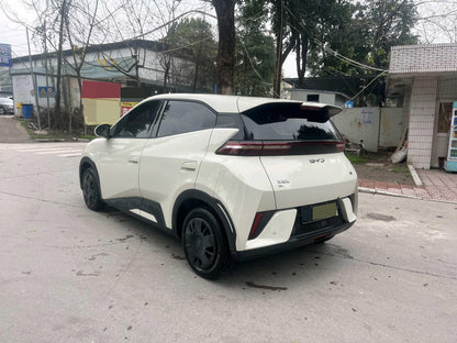 海鸥 BYD 2025 Seagull Smart Drive Edition 305km Vitality Edition Auto