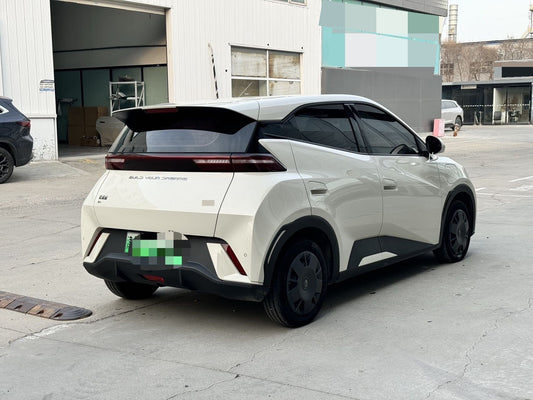 BYD سيغول 2023 إصدار فيتاليتي أوتو
