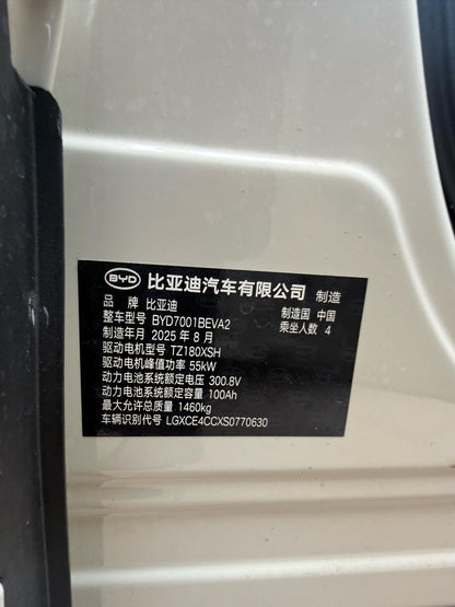 海鸥比亚迪2025款305公里活力版自动挡