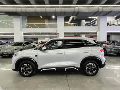 BYD 2025 Yuan UP Smart Drive Edition 401KM Type Auto （1198）