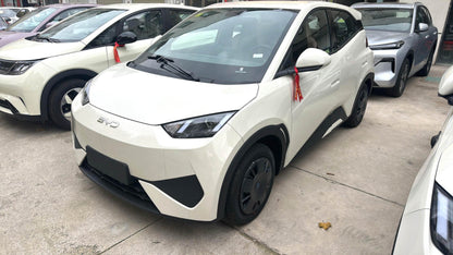 海鸥 BYD 2025 Seagull Smart Drive Edition 305km Vitality Edition Auto