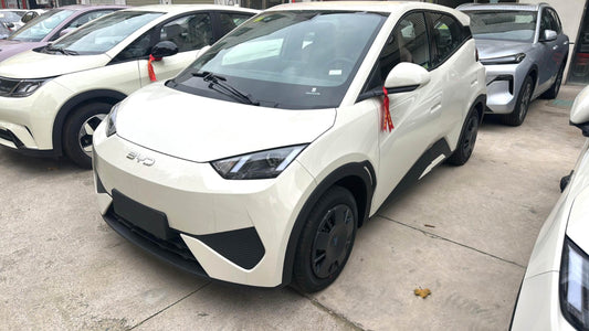 سيجول بي واي دي 2025 Seagull Smart Drive Edition 305km Vitality Edition Auto