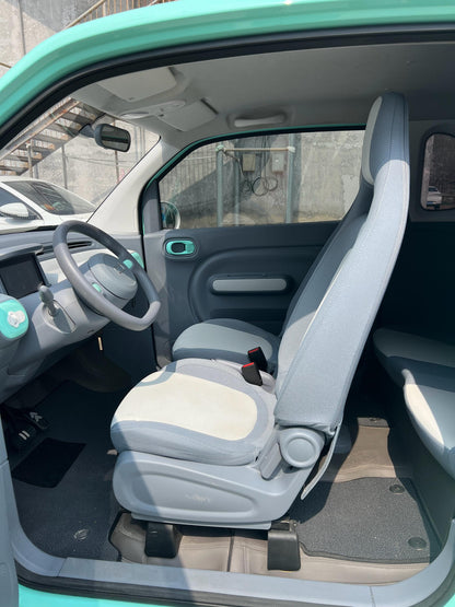 丰田2024款170公里续航活力汽车