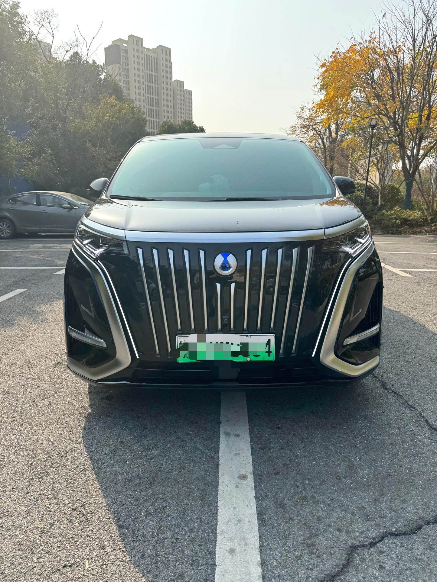 Denza 2022 Denza D9 EV 600 4WD Flagship Type Auto