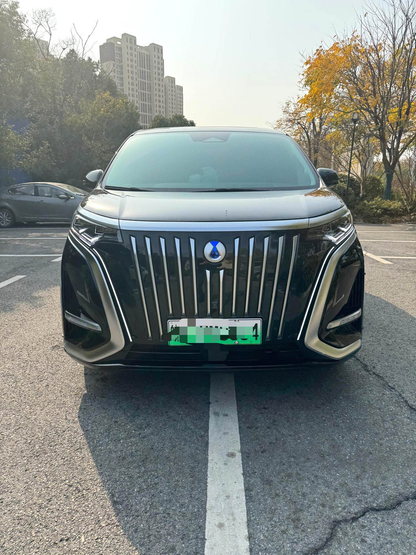 Denza 2022 Denza D9 EV 600 4WD Flagship Type Auto