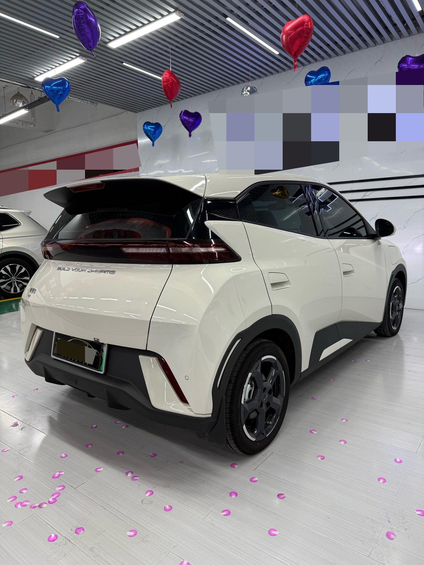 海鸥 BYD 2023 Seagull Edition Auto