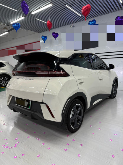 海鸥 BYD 2023 Seagull Edition Auto
