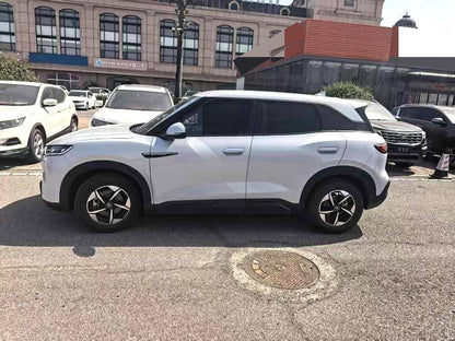 BYD 2024 Yuan UP 301KM Advanced Type Auto （0968）