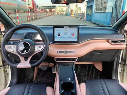سيجول بي واي دي 2025 Seagull Smart Drive Edition 305km Vitality Edition Auto
