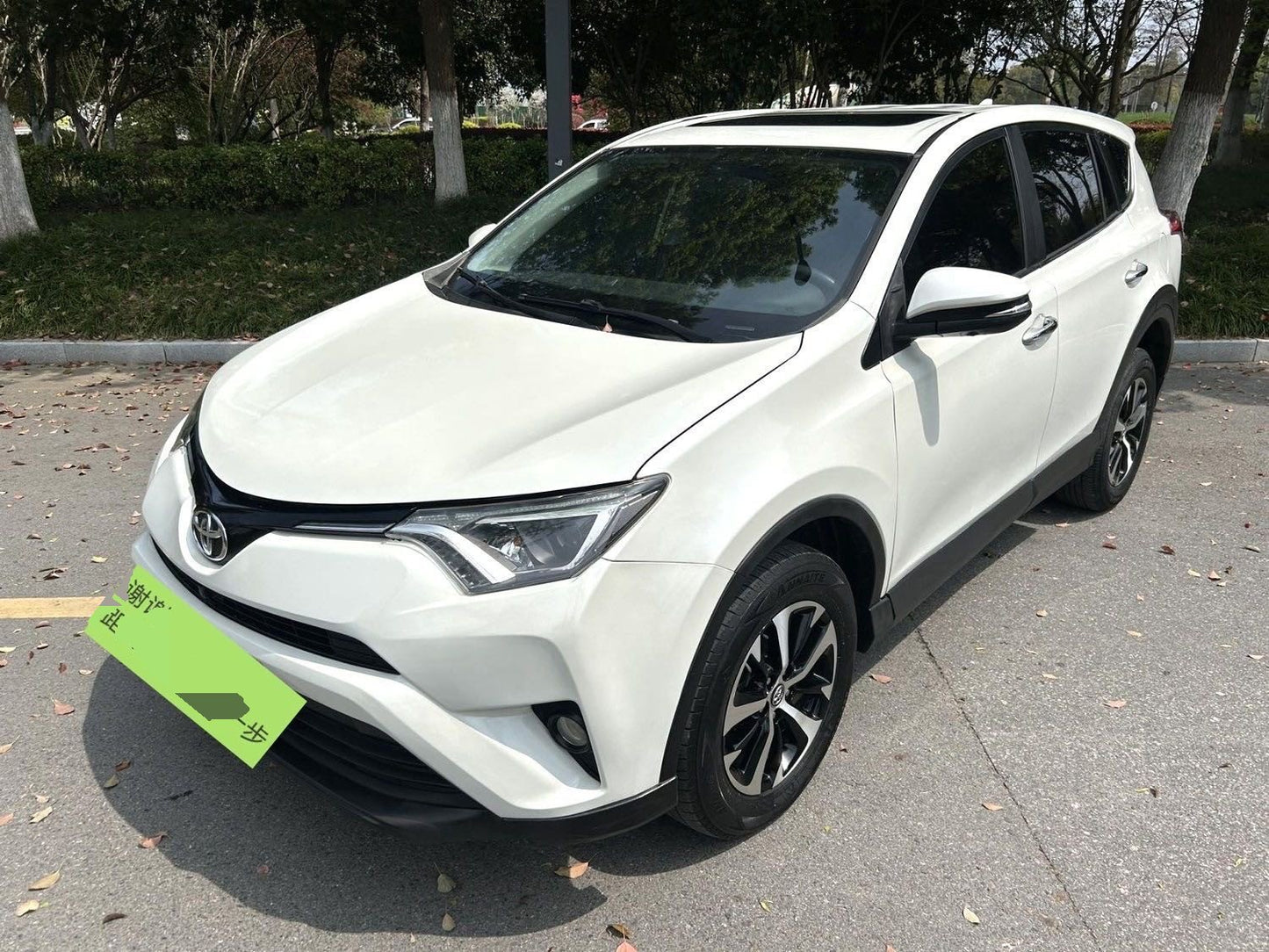 Toyota 2019 RAV4 2.0 2WD Pioneer Edition Auto