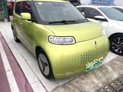 Great Wall ORA 2020 R2( White ) 360km Edition Auto