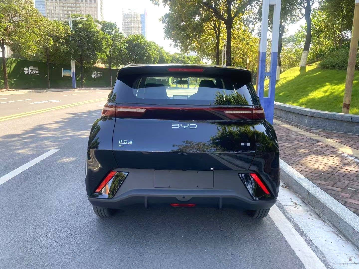 海鸥 比亚迪 2024 海鸥荣耀版 305km 活力版 汽车