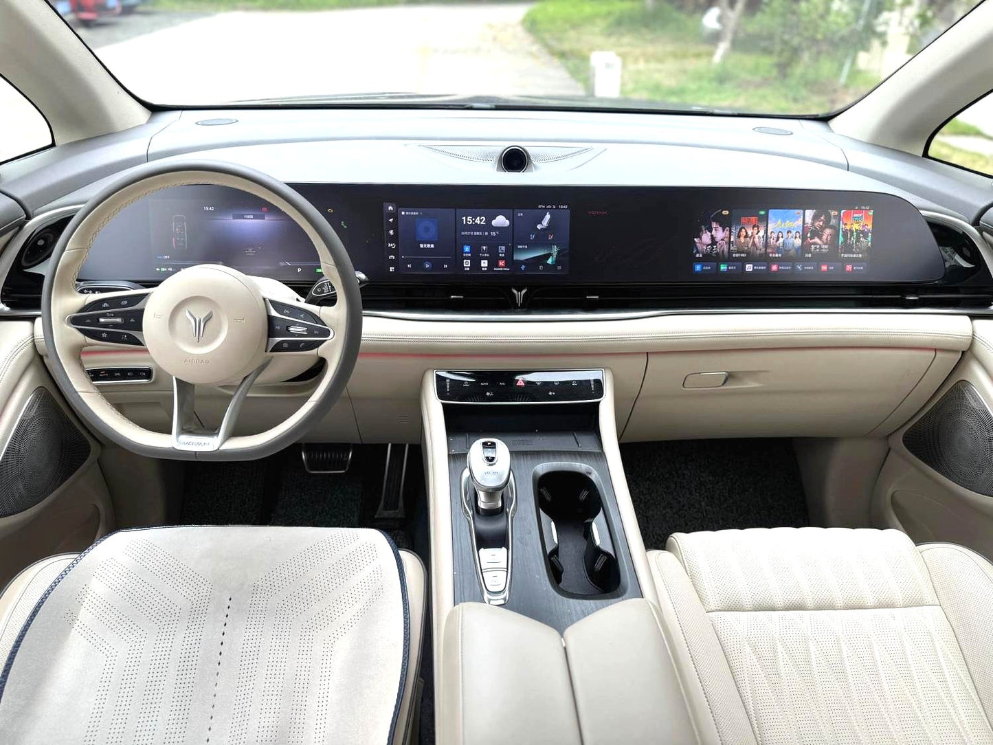 Voyah 2022 Edition + Smart Auto （4399）