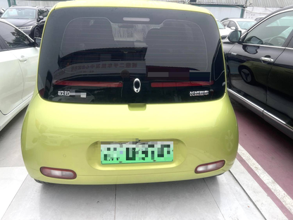 Great Wall ORA 2020 R2( White ) 360km Edition Auto