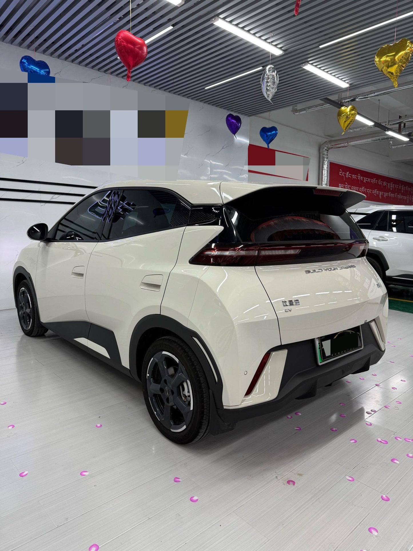 海鸥 BYD 2023 Seagull Edition Auto