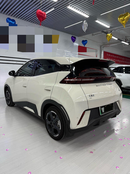 海鸥 BYD 2023 Seagull Edition Auto