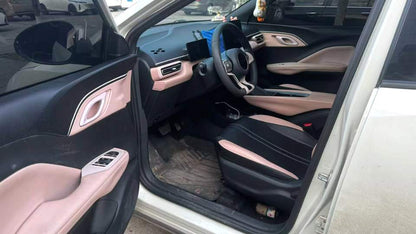 BYD 2025 Seagull 305km Vitality Edition Auto （0698）