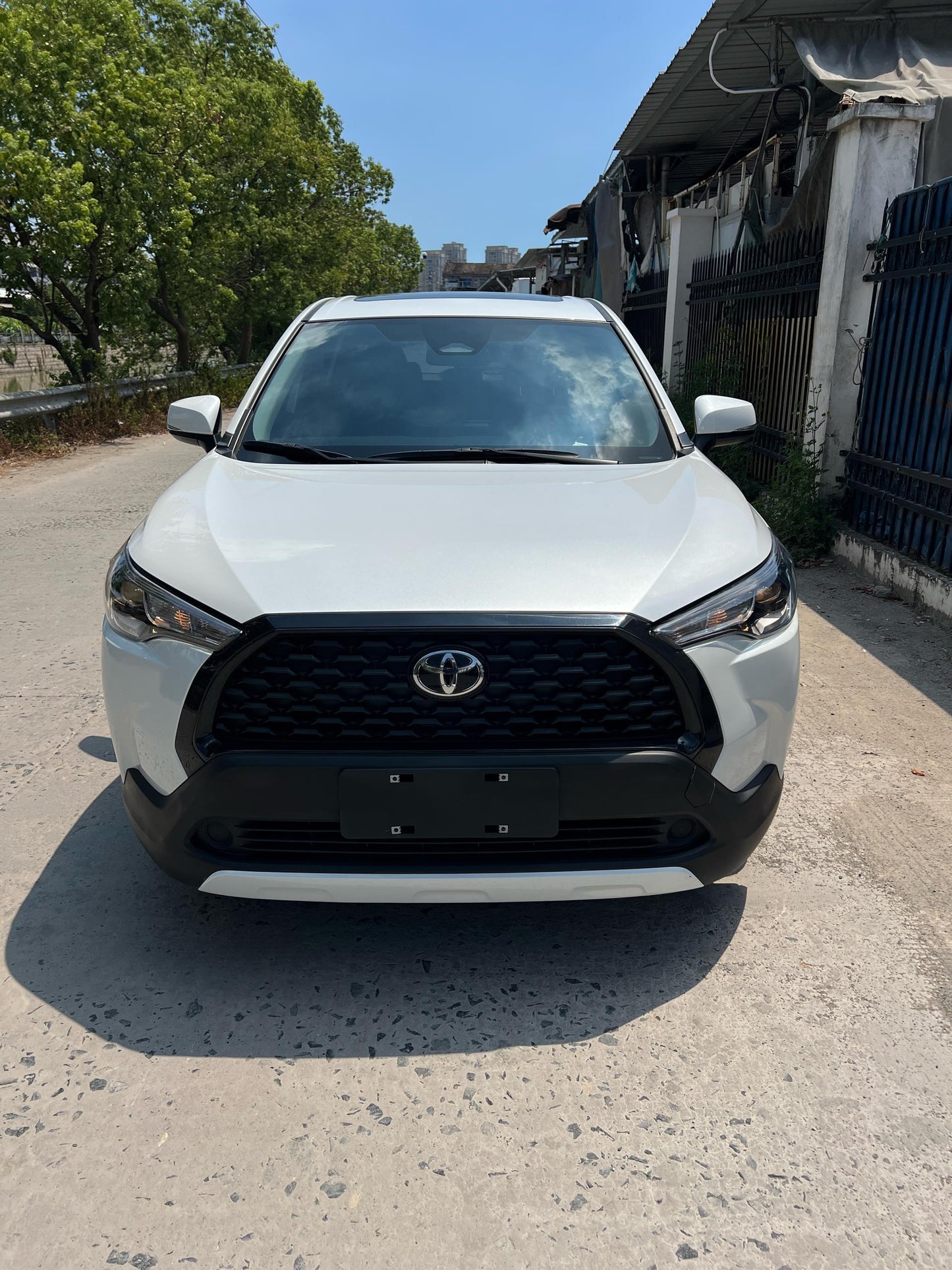 Toyota 2023 2.0 Edition Auto