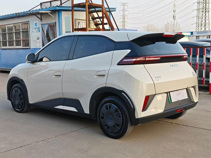سيجول بي واي دي 2025 Seagull Smart Drive Edition 305km Vitality Edition Auto
