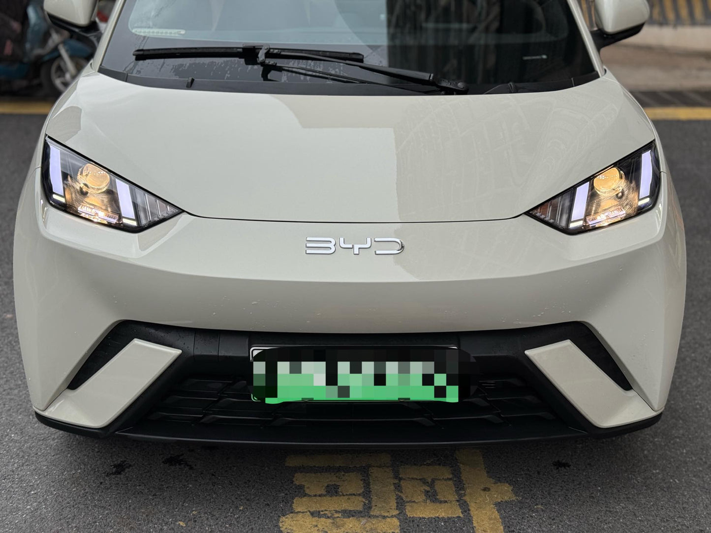 海鸥 比亚迪 2024 海鸥荣耀版 305km 活力版 汽车