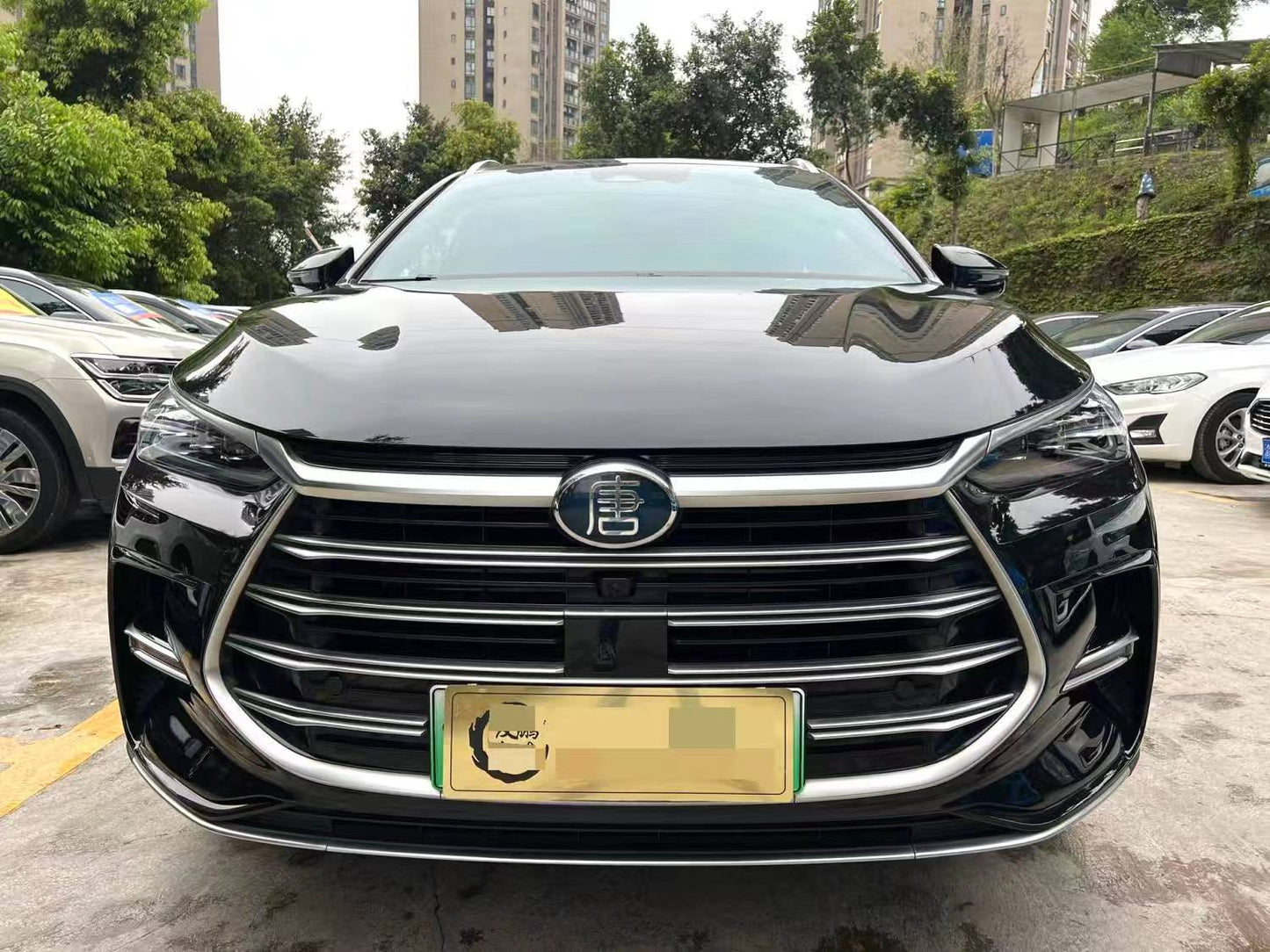 BYD Tang NEV 2021 Tang DM-i 1.5T 112KM Premium Type Auto （2168）