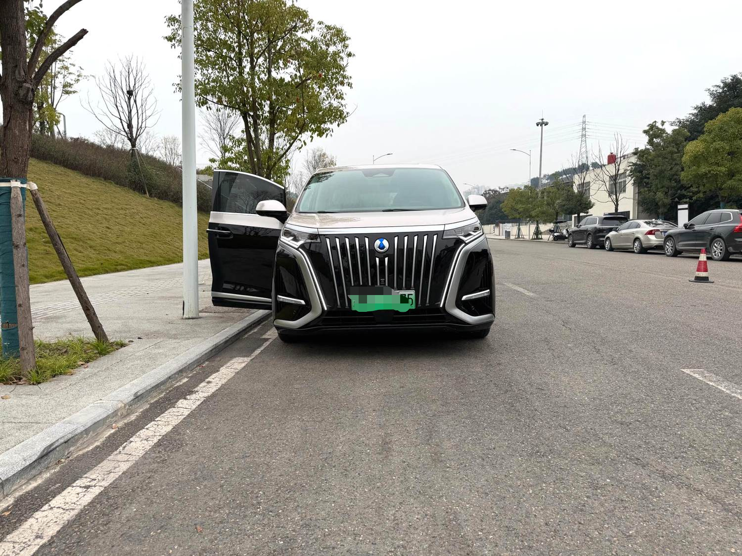 Denza 2022 Denza D9 EV 600 4WD Flagship Type Auto