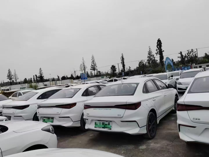 BYD 2021 BYD E3 Edition
