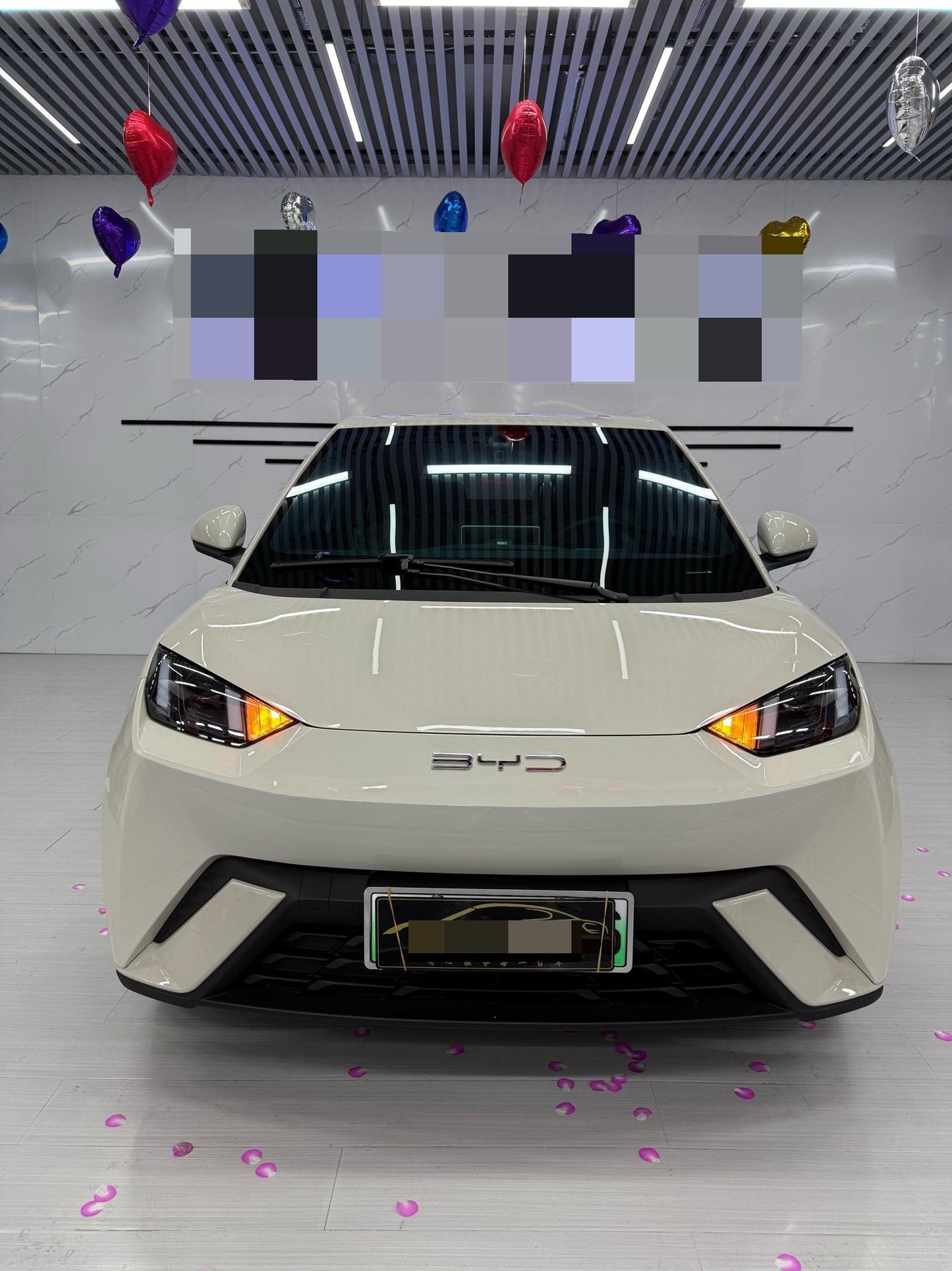 海鸥 BYD 2023 Seagull Edition Auto