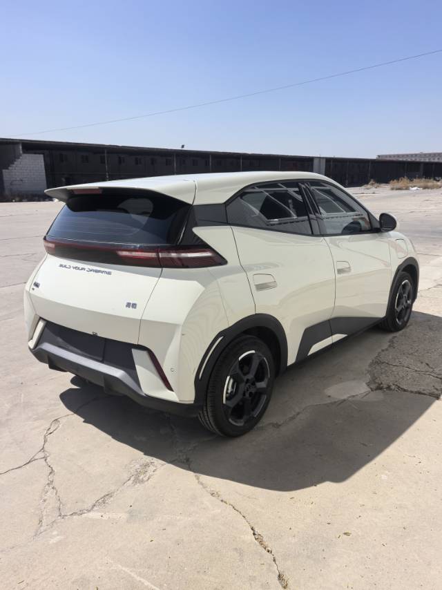 海鸥 BYD 2023 Seagull Edition Auto