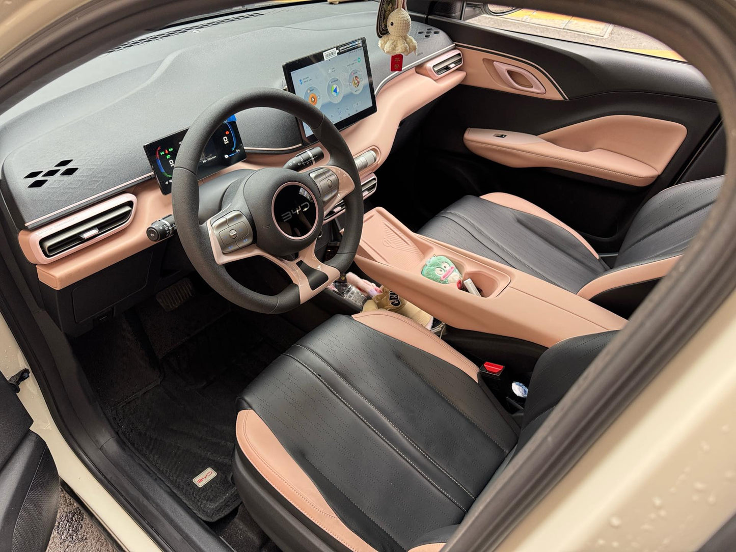 海鸥 比亚迪 2024 海鸥荣耀版 305km 活力版 汽车