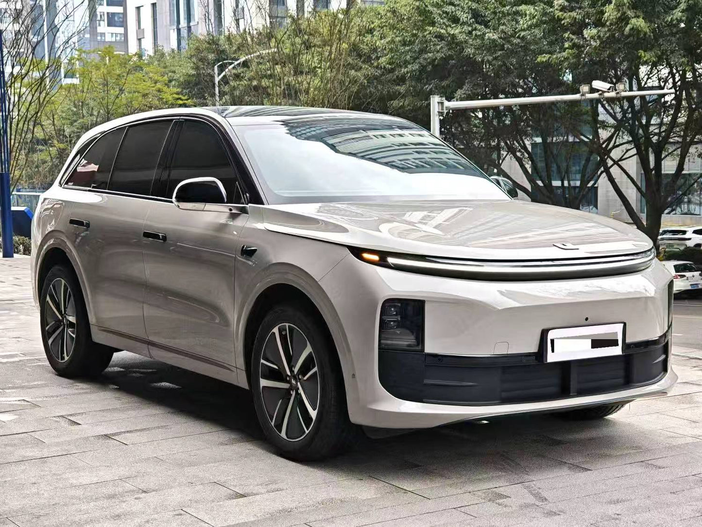 Li Auto 2024 L6 Pro Auto (2498)