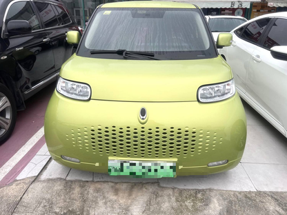 Great Wall ORA 2020 R2( White ) 360km Edition Auto