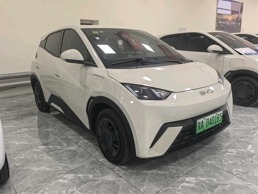 سيجول بي واي دي 2025 Seagull Smart Drive Edition 305km Vitality Edition Auto