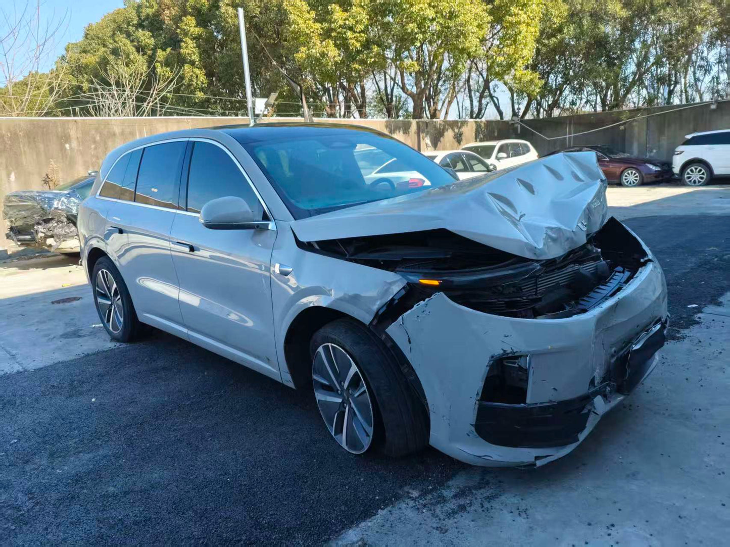 Li Auto 2024 L6 Max Auto