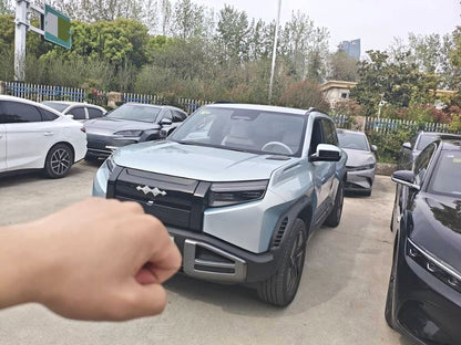 فانغ تشينغ باو 2025 3 501 كم دفع رباعي (4WD) قيادة ذكية إصدار ألترا أوتوماتيك (1638)