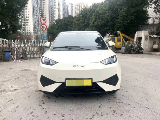 BYD 2025 Seagull Smart Drive Edition 305km Vitality Edition Auto （0698）