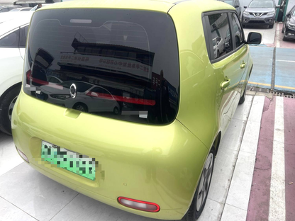 Great Wall ORA 2020 R2( White ) 360km Edition Auto