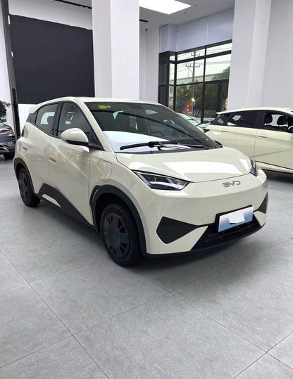 BYD 2025 سيغول 305 كيلومتر إصدار أوتو (0758)