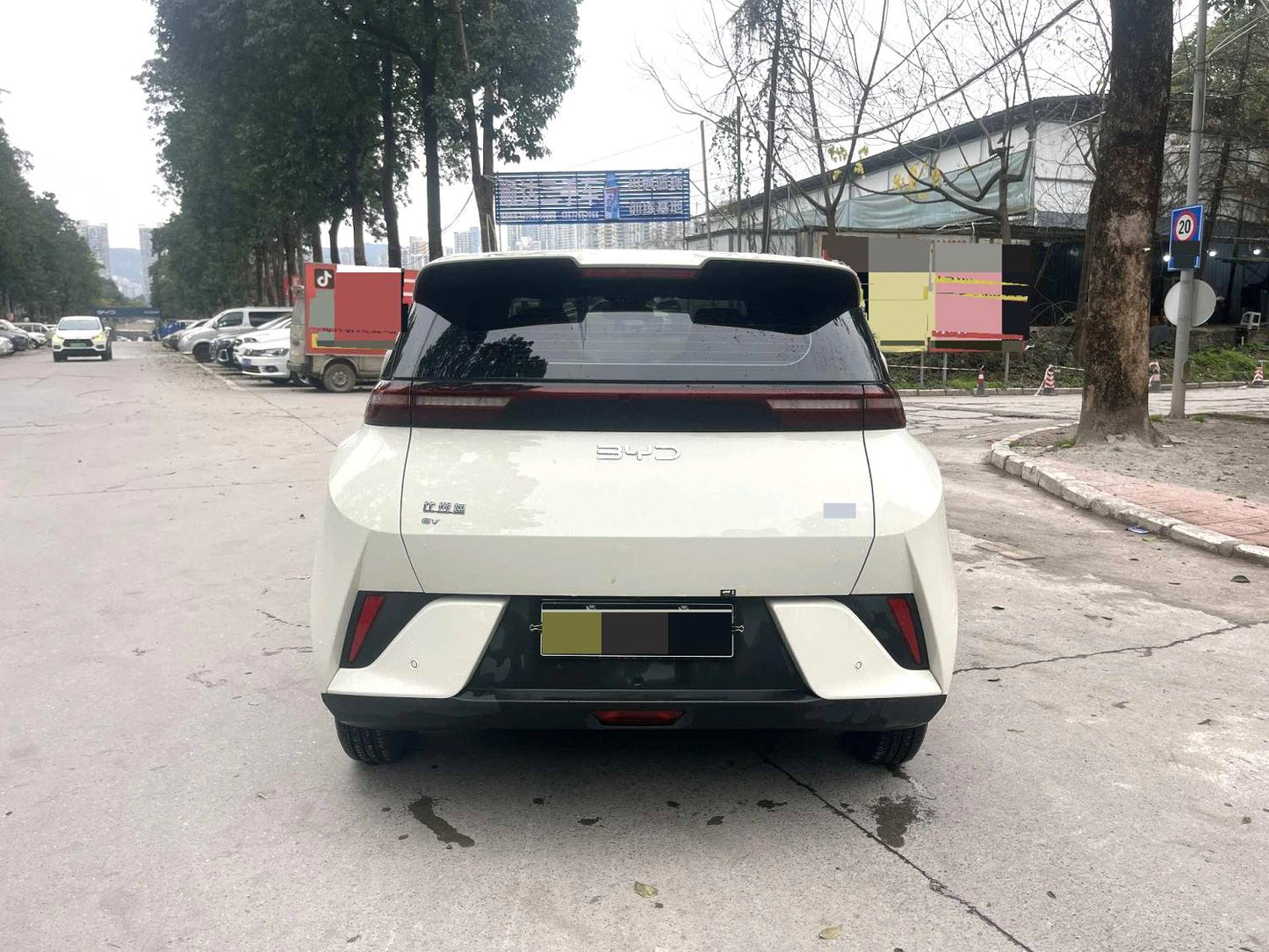 BYD 2025 Seagull Smart Drive Edition 305km Vitality Edition Auto （0698）