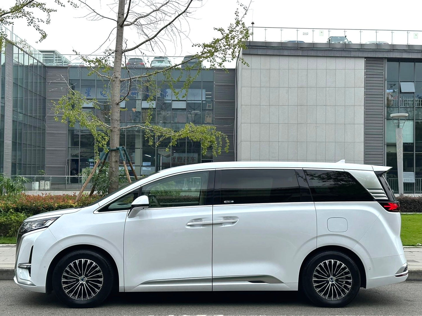 Denza 2022 Denza D9 EV 600 4WD Flagship Type Auto